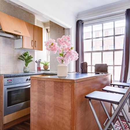 Cozy Studio In Central London Apartamento Exterior foto